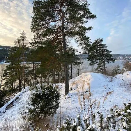 Kunstnerhytte Med Panoramautsikt Pa Furuholmen Holiday home Sarpsborg