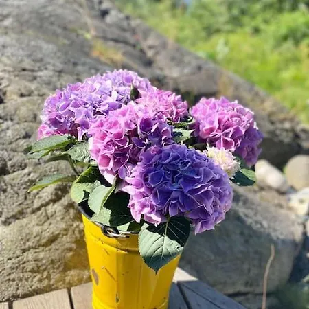 Kunstnerhytte Med Panoramautsikt Pa Furuholmen Holiday home *