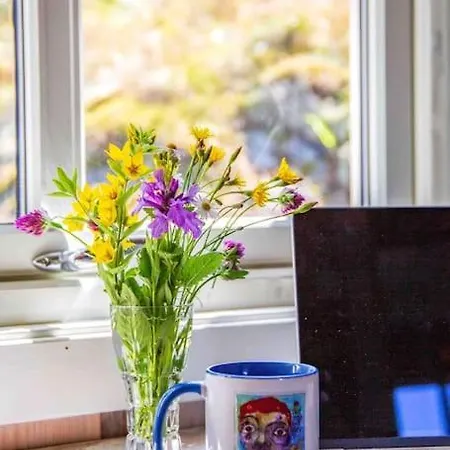 別荘 Kunstnerhytte Med Panoramautsikt Pa Furuholmen