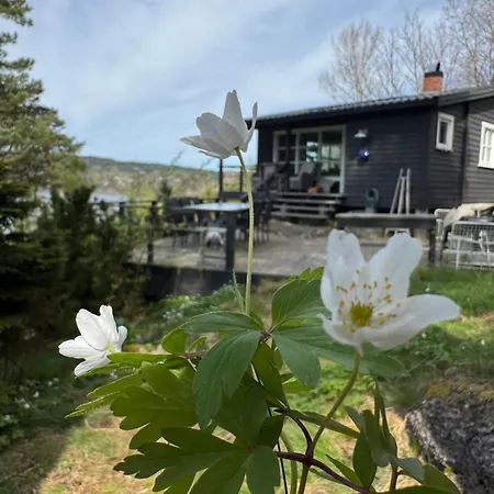 Holiday home Kunstnerhytte Med Panoramautsikt Pa Furuholmen Sarpsborg