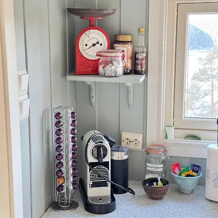 別荘 Kunstnerhytte Med Panoramautsikt Pa Furuholmen