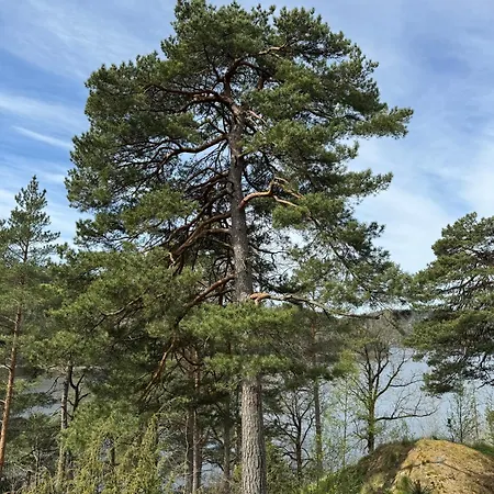Kunstnerhytte Med Panoramautsikt Pa Furuholmen Sarpsborg