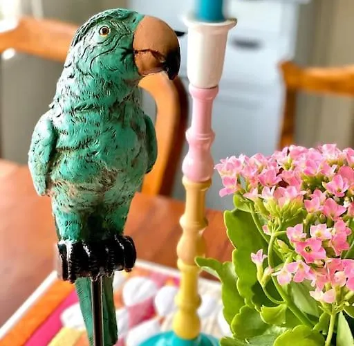 Kunstnerhytte Med Panoramautsikt Pa Furuholmen 사릅스보르그