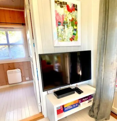 Kunstnerhytte Med Panoramautsikt Pa Furuholmen