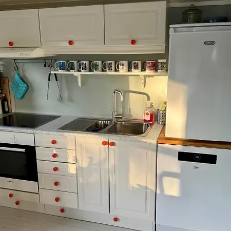 Kunstnerhytte Med Panoramautsikt På Furuholmen Feriehus Sarpsborg